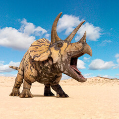 triceratops is angry © DM7