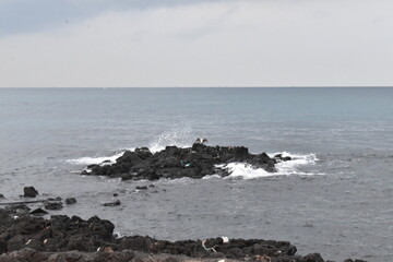basalt stone beaches and islands
