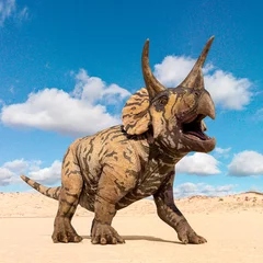 Brushed aluminium prints Dinosaurs triceratops is calling the others