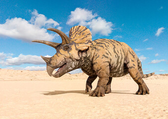 triceratops is walking - obrazy, fototapety, plakaty