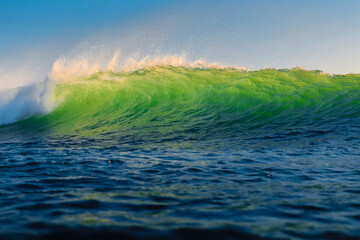 Perfect green wave in ocean. Breaking wave with evening light