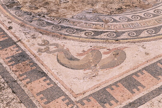 Mosaic in the House of the Dolphins, archaeological site, Delos, Cyclades islands, Greece