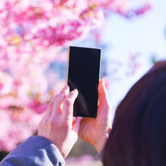 花見　スマホ　撮影　【ウィズコロナのニューノーマル】