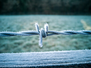 Frost On A Barbed Wire Fence In The Morning