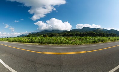 Panorama of a highway paved with tracks, green field, banana plantation, mountains and blue sky with white clouds.