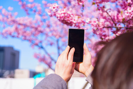 Japanese middle aged woman taking photo in Spring