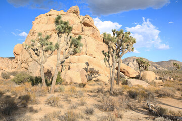 Joshua Tree National Park in California, USA