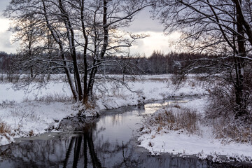 Rzeka Łoknica - Dolina Górnej Narwi, Podlasie, Polska