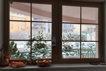 View from the window in winter