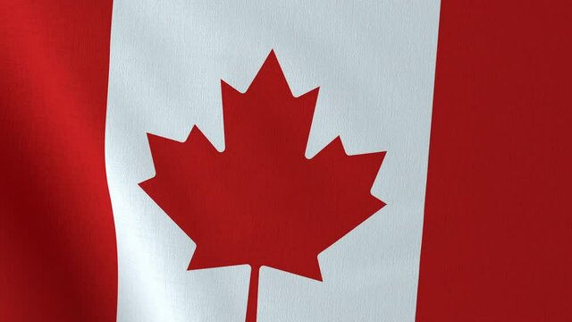 Waving Canada flag. Canadian waved flag close up fabric texture. National Canada background. 3d render 4k looped animation.