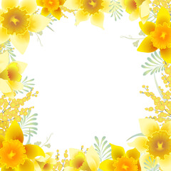 Border with Daffodil Flowers. Narcissus. Card Design. Decorative Floral Elements.