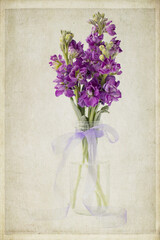 Original textured still life photograph of a bouquet of purple stock flowers in a glass bottle with a lavender ribbon on ecru