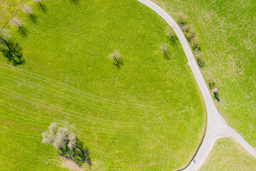 Field, trees and road. Aerial view.