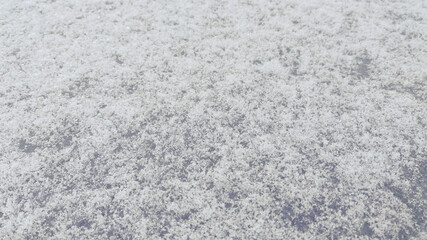schnee 