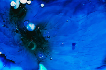 Abstract Liquid Paint Bubbles In Oil