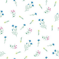 Wild flower sweet pea and knapweed seamless repeating pattern with white background. Vector illustration