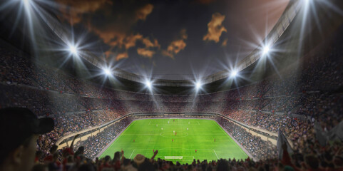 Soccer game in the stadium © Igor Link