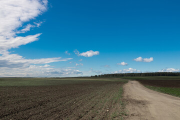 dirt road leading into the distance to the edge of the field with planting of plants