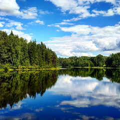 Fototapeta na wymiar Summer landscape with a lake surrounded by forest in which a blue sky with white cumulus clouds is reflected.