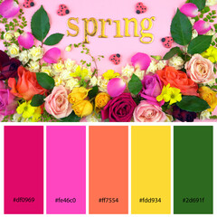Designer Color Palette inspired by spring flowers. Designer pack with photograph and swatches with...