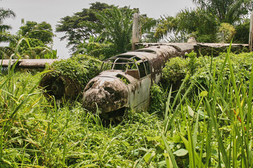 wreck of american bomber crashed in jungle vegetation during world war II