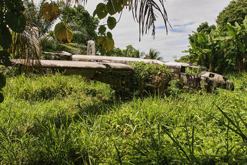wreck of american bomber crashed in jungle vegetation during world war II