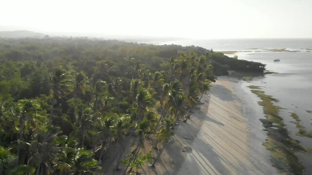 Aerial view of beach with palm trees in the monring, Siquijor, Philippines