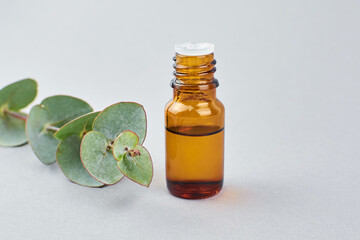 Eucalyptus essential oil in the bottle and eucalyptus tree branch with green leaves