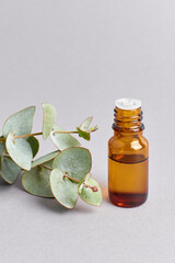 Bottle with eucalyptus essential oil with fresh plant leaves on grey background © nikavera