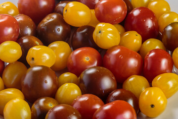 Multicolored tomatoes of different varieties. Fashionable vegan food.