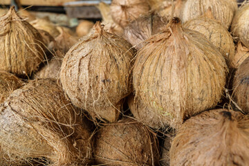 Pile Of Peeled Coconut Fruit