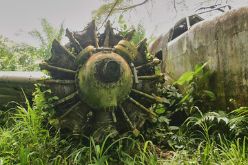 wreck of american bomber crashed in jungle vegetation during world war II