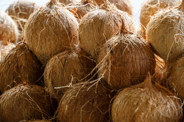 Pile Of Peeled Coconut Fruit