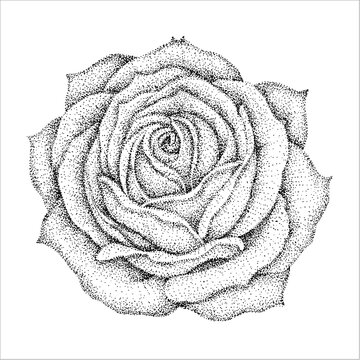 点描画 Images Browse 139 Stock Photos Vectors And Video Adobe Stock 点描画 Images Browse 139 Stock Photos Vectors And Video Adobe Stock