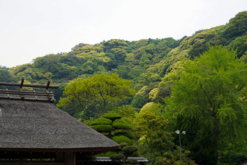 Fototapeta na wymiar Traditional Japanese roof on isolated white sky and green mountain range background at Beppu, Oita-shi, Japan.