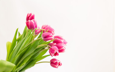Bukiet różowych tulipanów na białym tle