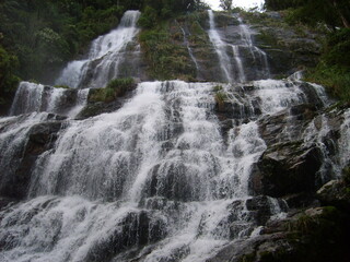 Obraz premium <Digimax S500 / Kenox S500 / Digimax Cyber 530>