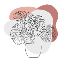 Monstera. Indoor plant in a pot. Modern spots for text delicate colors.
