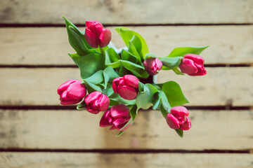 pinke Tulpen zum Muttertag