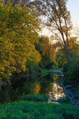 630-45 Prairie Creek Morning Light