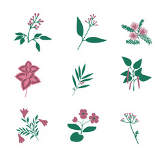 Fototapeta premium Vector flowers set