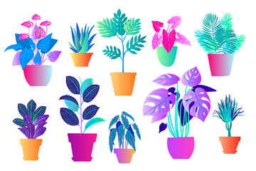 Neon tropical plants and flowers in pots. Vector color sketch on a white background. Ultraviolet pink, blue, turquoise.