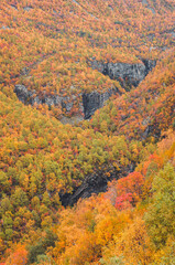 Mountain valley with autumn colors, Norway