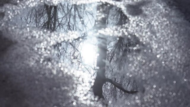 Abstract natural 4k video background. Rainfall concept. Puddles on grey texture of pavement of sidewalk or road. Bare spring or autumn trees reflected on surface of water. Sun shines in clear blue sky