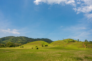 Fototapeta premium Meadow and hill landscape with blue sky background