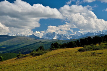 landscape in the summer