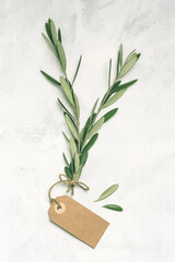 Olive branches and paper tags for lettering on the white textured background. Olive oil mood layout