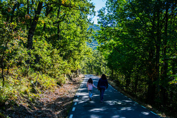 Fototapeta premium Una madre y su hija pasean por un bosque bajo la sombra de los árboles