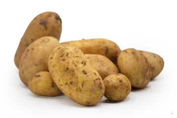Dirty potatoes isolated on white background. Pre-cut image for projects, flyer etc. Fresh unwashed potatoes with soft shadows. Front  view, horizontal shot