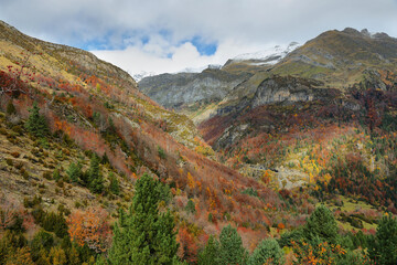 Autumn scene in Bujaruelo valley, Spain